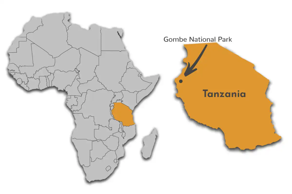 Gombe National Park map